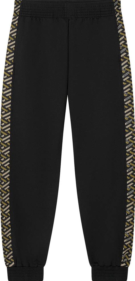 felpa tigri versace|Versace Felpa Art Pant 'Black/Print' .